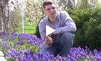 Grape Hyacinth Planting and Care Tips Video