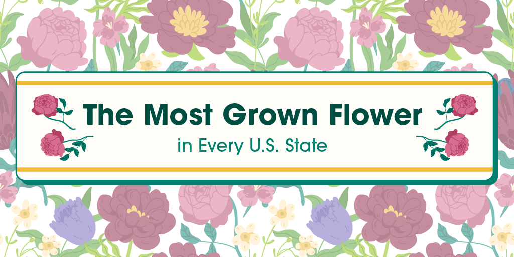 The Most Grown Flower in Every State